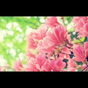 Meet your Posher, Stephani